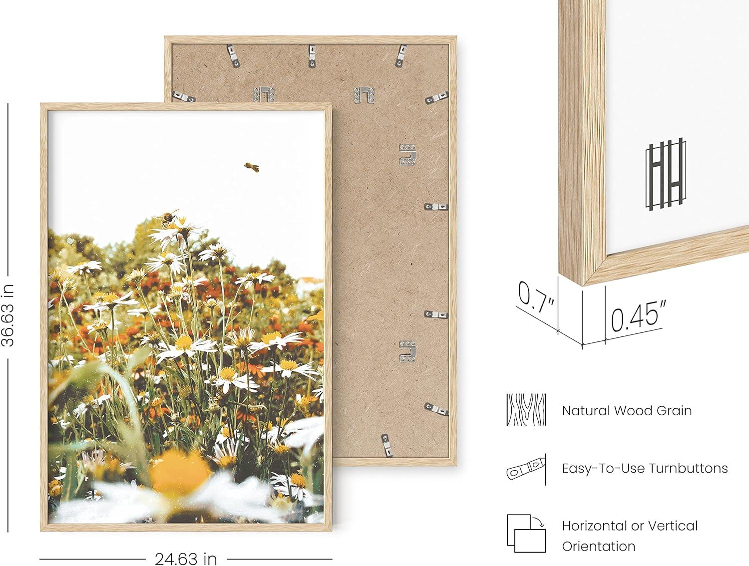 imageHAUS AND HUES Honey Bee Decor Garden Wall Art  Insect Poster Vintage Floral Posters and Prints Flower Poster Vintage Botanical Prints Black Frame 16x20Flowers and Bees