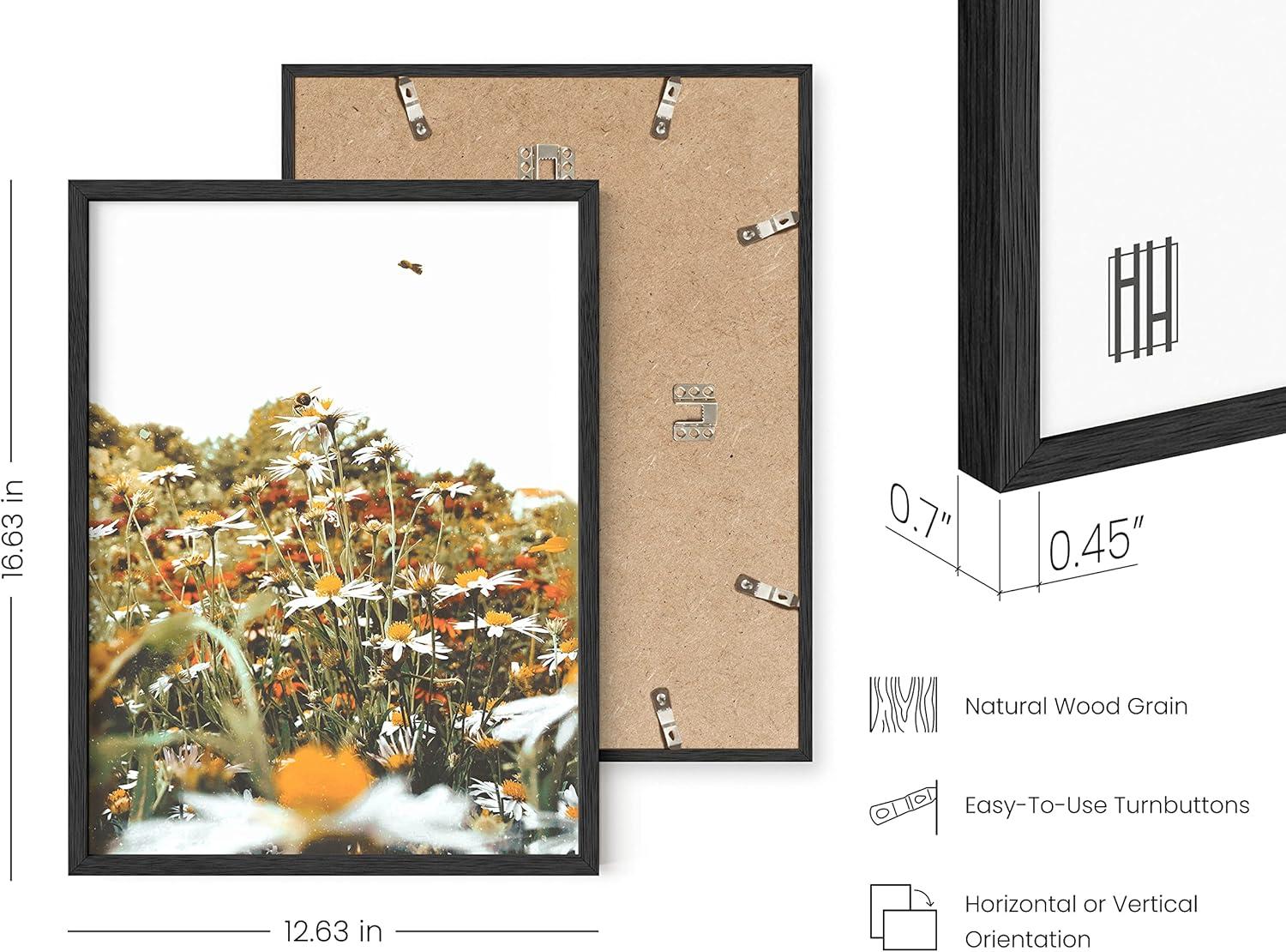 imageHAUS AND HUES Honey Bee Decor Garden Wall Art  Insect Poster Vintage Floral Posters and Prints Flower Poster Vintage Botanical Prints Black Frame 16x20Flowers and Bees
