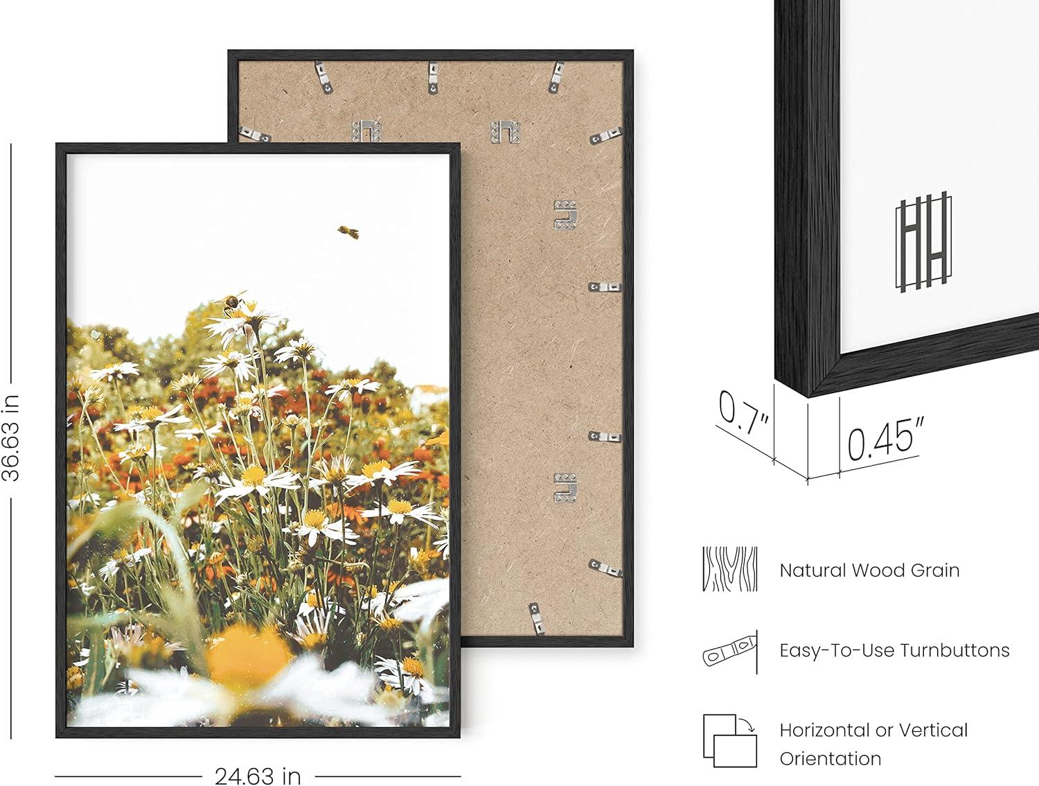 imageHAUS AND HUES Honey Bee Decor Garden Wall Art  Insect Poster Vintage Floral Posters and Prints Flower Poster Vintage Botanical Prints Black Frame 16x20Flowers and Bees