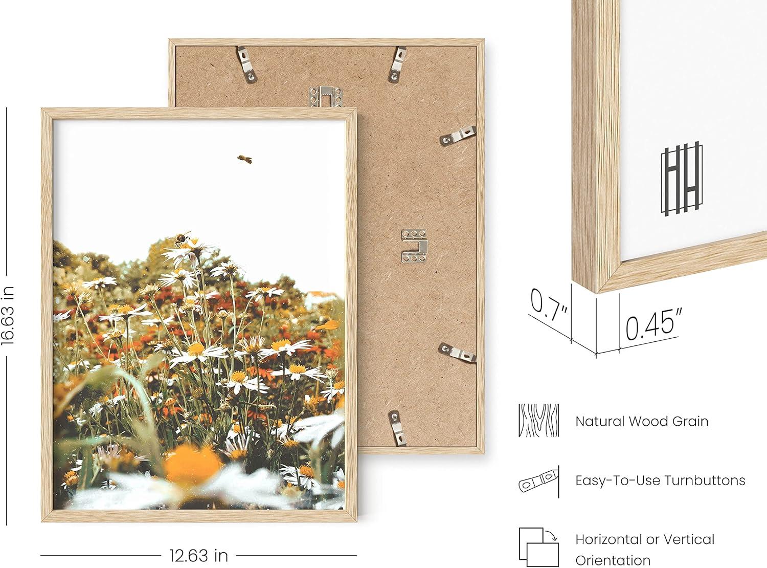 imageHAUS AND HUES Honey Bee Decor Garden Wall Art  Insect Poster Vintage Floral Posters and Prints Flower Poster Vintage Botanical Prints Black Frame 16x20Flowers and Bees