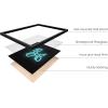 imageHAUS AND HUES Honey Bee Decor Garden Wall Art  Insect Poster Vintage Floral Posters and Prints Flower Poster Vintage Botanical Prints Black Frame 16x20Neon Dog