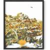imageHAUS AND HUES Honey Bee Decor Garden Wall Art  Insect Poster Vintage Floral Posters and Prints Flower Poster Vintage Botanical Prints Black Frame 16x20Flowers and Bees