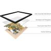 imageHAUS AND HUES Honey Bee Decor Garden Wall Art  Insect Poster Vintage Floral Posters and Prints Flower Poster Vintage Botanical Prints Black Frame 16x20Flowers and Bees