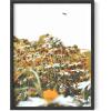 imageHAUS AND HUES Honey Bee Decor Garden Wall Art  Insect Poster Vintage Floral Posters and Prints Flower Poster Vintage Botanical Prints Black Frame 16x20Flowers and Bees