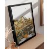 imageHAUS AND HUES Honey Bee Decor Garden Wall Art  Insect Poster Vintage Floral Posters and Prints Flower Poster Vintage Botanical Prints Black Frame 16x20Flowers and Bees
