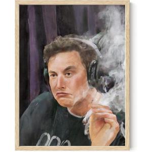 imageHAUS AND HUES Meme Posters  Funny Wall Art for College Dorm Humor Room Decor for Men ampamp Teens Unframed 12x16Elon