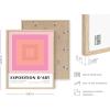 imageHAUS AND HUES Art Exhibition Poster  Danish Pastel Danish Pink Geometric Beige Frame 16x20