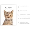 imageHAUS AND HUES Create Your Own Customized Poster of Pet Portrait or Landscape  Custom Posters Upload Images of Cat ampamp Dog Art Customized Dog Pictures Wall Decor Custom Photo PrintsFramed