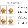 imageHAUS AND HUES Create Your Own Customized Poster of Pet Portrait or Landscape  Custom Posters Upload Images of Cat ampamp Dog Art Customized Dog Pictures Wall Decor Custom Photo PrintsFramed