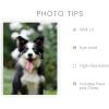imageHAUS AND HUES Create Your Own Customized Poster of Pet Portrait or Landscape  Custom Posters Upload Images of Cat ampamp Dog Art Customized Dog Pictures Wall Decor Custom Photo PrintsFramed