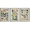 imageHAUS AND HUES Mid Century Wall Art Boho Wall Art Framed  Set of 3 Mandala Wall Decor Boho Framed Art Abstract Art Bohemian Tiles 8x10 Black FramedAdolphe Butterfly