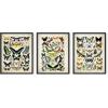 imageHAUS AND HUES Mid Century Wall Art Boho Wall Art Framed  Set of 3 Mandala Wall Decor Boho Framed Art Abstract Art Bohemian Tiles 8x10 Black FramedAdolphe Butterfly