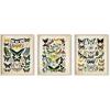 imageHAUS AND HUES Mid Century Wall Art Boho Wall Art Framed  Set of 3 Mandala Wall Decor Boho Framed Art Abstract Art Bohemian Tiles 8x10 Black FramedAdolphe Butterfly