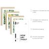 imageHAUS AND HUES Summer Matisse Art Print Set of 324x36Tropical Bohemian Watercolor