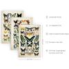 imageHAUS AND HUES Tiles Art Print Set of 324x36  Framed BeigeAdolphe Butterfly