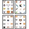imageHaus and Hues Animal Nursery Art Prints  Set of 4 Baby Nursery Wall Decor for Boys and Girls Baby Boy Room Dcor Kids Bathroom Dcor Animal Pictures Wall Art Black Frame 11x14Safari