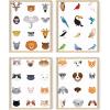 imageHaus and Hues Animal Nursery Art Prints  Set of 4 Baby Nursery Wall Decor for Boys and Girls Baby Boy Room Dcor Kids Bathroom Dcor Animal Pictures Wall Art Black Frame 11x14Safari