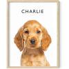 imageHAUS AND HUES Create Your Own Customized Poster of Pet Portrait or Landscape  Custom Posters Upload Images of Cat ampamp Dog Art Customized Dog Pictures Wall Decor Custom Photo PrintsUnframed