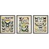 imageHAUS AND HUES Tiles Art Print Set of 324x36  Framed BeigeAdolphe Butterfly