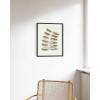 imageHAUS AND HUES Abstract Framed Wall Art  Sage Green Aesthetic Decor Minimalist Green Room Posters Modern Botanical Prints for Bedroom or Living Room Beige 12quot x 16quotGreen Sunglasses