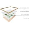 imageHAUS AND HUES Abstract Framed Wall Art  Sage Green Aesthetic Decor Minimalist Green Room Posters Modern Botanical Prints for Bedroom or Living Room Beige 12quot x 16quotPantone Shades Green