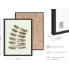 imageHAUS AND HUES Sage Green Wall Art  Aesthetic Green Room Decor Minimalist Botanical Posters Dark Green Bedroom Prints Dorm Wall Decor Beige Framed 16quot x 20quotGreen Sunglasses