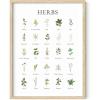 imageHAUS AND HUES Herb Pictures for Kitchen Wall Kitchen Herbs Wall Art and Botanical Prints Herbs Art  Kitchen Wall Art Herbs Poster and Kitchen Art  Cottage Core Decor 12x16 Beige FramedBeige Framed