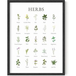 imageHAUS AND HUES Herb Pictures for Kitchen Wall Kitchen Herbs Wall Art and Botanical Prints Herbs Art  Kitchen Wall Art Herbs Poster and Kitchen Art  Cottage Core Decor 12x16 Beige FramedUnframed