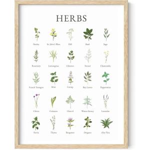imageHAUS AND HUES Herb Pictures for Kitchen Wall Kitchen Herbs Wall Art and Botanical Prints Herbs Art  Kitchen Wall Art Herbs Poster and Kitchen Art  Cottage Core Decor 12x16 Beige FramedBeige Framed