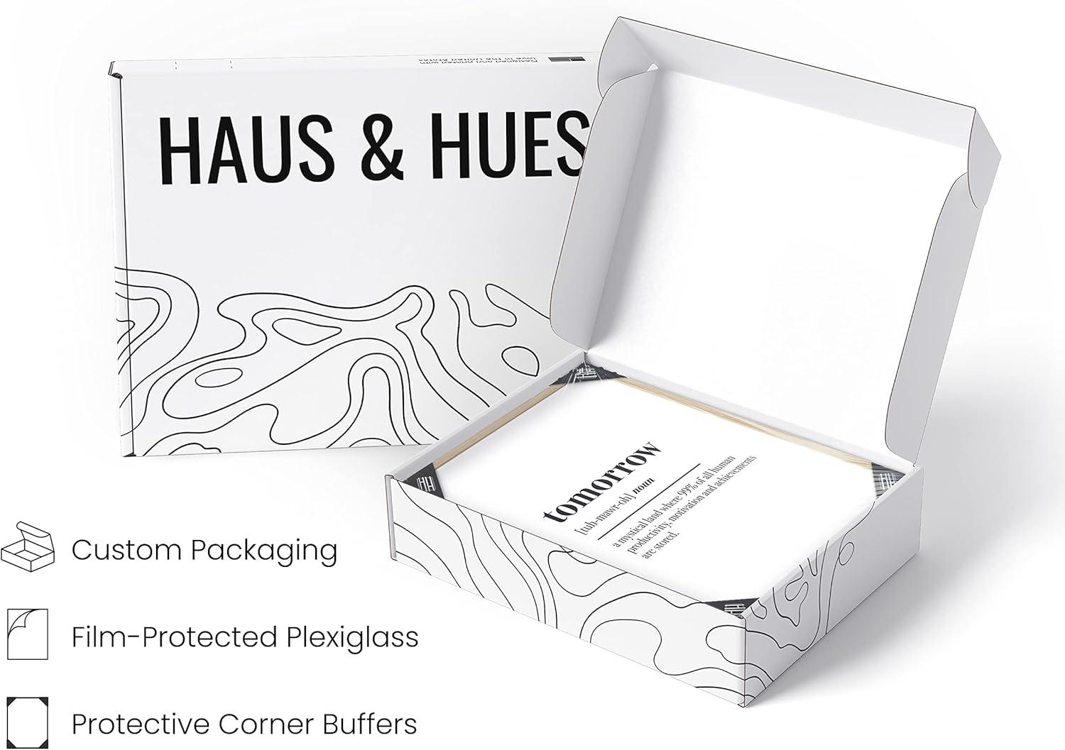 imageHAUS AND HUES Funny Dorm Posters  Quotes Wall Decor for College Dorm Room Motivational Poster Office Decor for Women Cubicle Wall Decor UNFRAMED 12quotx16quotTomorrow