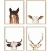 imageHAUS AND HUES Wall Art  Set of 4 Rustic Farm Animal Prints Art Prints 8x10 Beige Framed Kitchen Modern Farmhouse Decor Cow Deer Horse PigBeige Framed