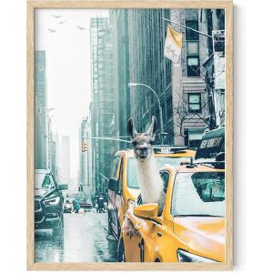 imageRipGrip Llama Dorm Decor and Llama Wall Art  Dope Posters for Boys Room Cute Posters for College Dorm Cute Wall Decor Funny Llama Accessories Llama in Taxi Art Print Black Frame 16x20Beige Framed