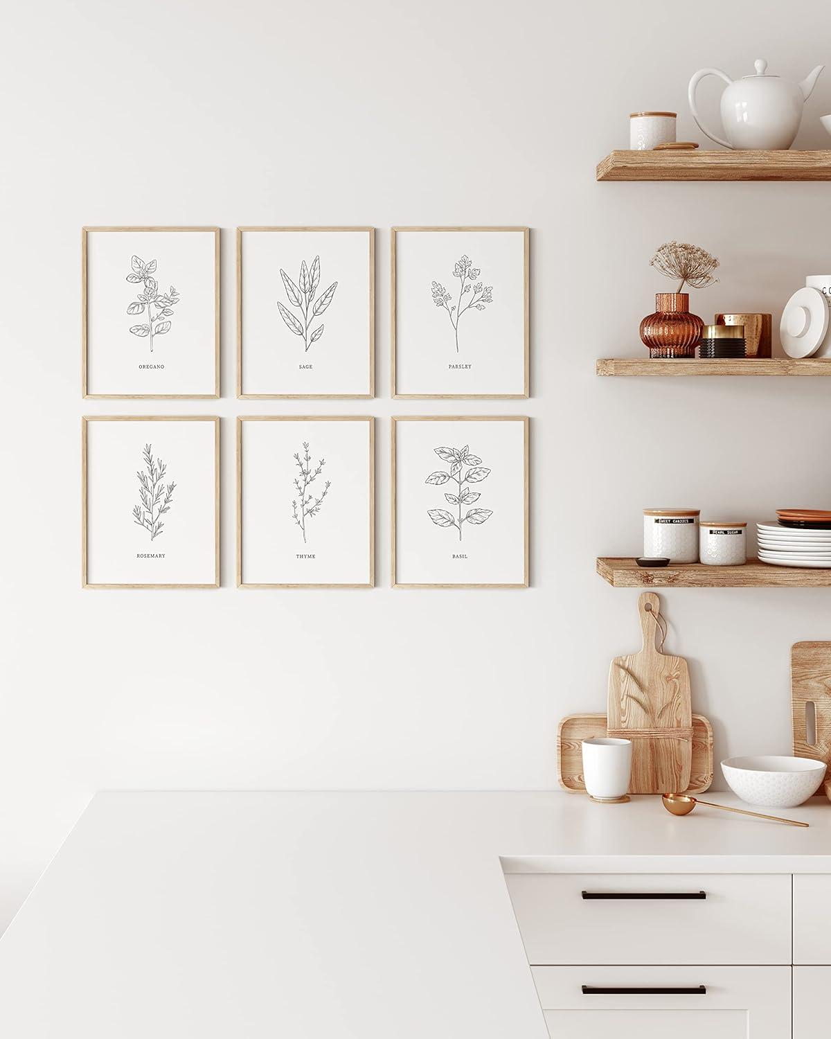 imageHAUS AND HUES Floral ampamp Plant Posters  Set of 6 Botanical Prints Flower ampamp Plant Wall Art Botanical Decor Unframed 16x20Black  White Herbs