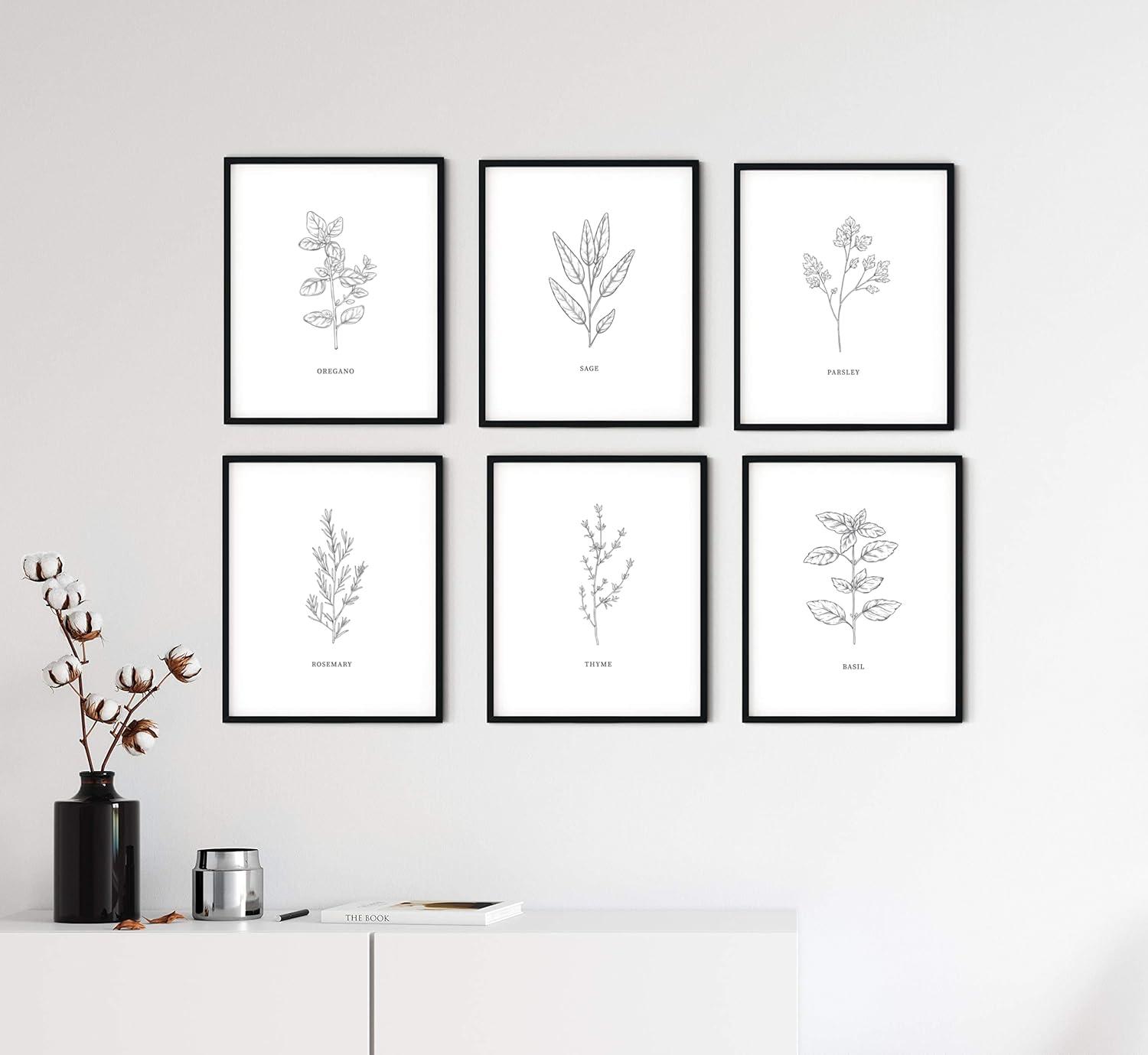 imageHAUS AND HUES Floral ampamp Plant Posters  Set of 6 Botanical Prints Flower ampamp Plant Wall Art Botanical Decor Unframed 16x20Black  White Herbs