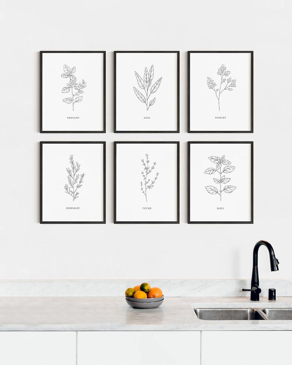 imageHAUS AND HUES Floral ampamp Plant Posters  Set of 6 Botanical Prints Flower ampamp Plant Wall Art Botanical Decor Unframed 16x20Black  White Herbs