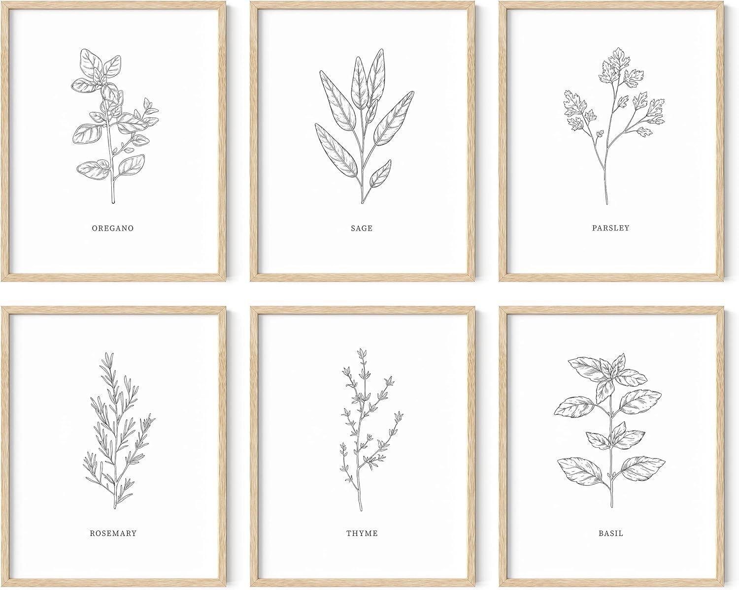 imageHAUS AND HUES Floral ampamp Plant Posters  Set of 6 Botanical Prints Flower ampamp Plant Wall Art Botanical Decor Unframed 16x20Black  White Herbs