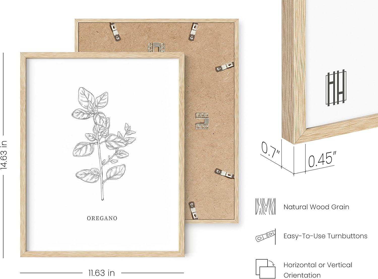 imageHAUS AND HUES Floral ampamp Plant Posters  Set of 6 Botanical Prints Flower ampamp Plant Wall Art Botanical Decor Unframed 16x20Black  White Herbs