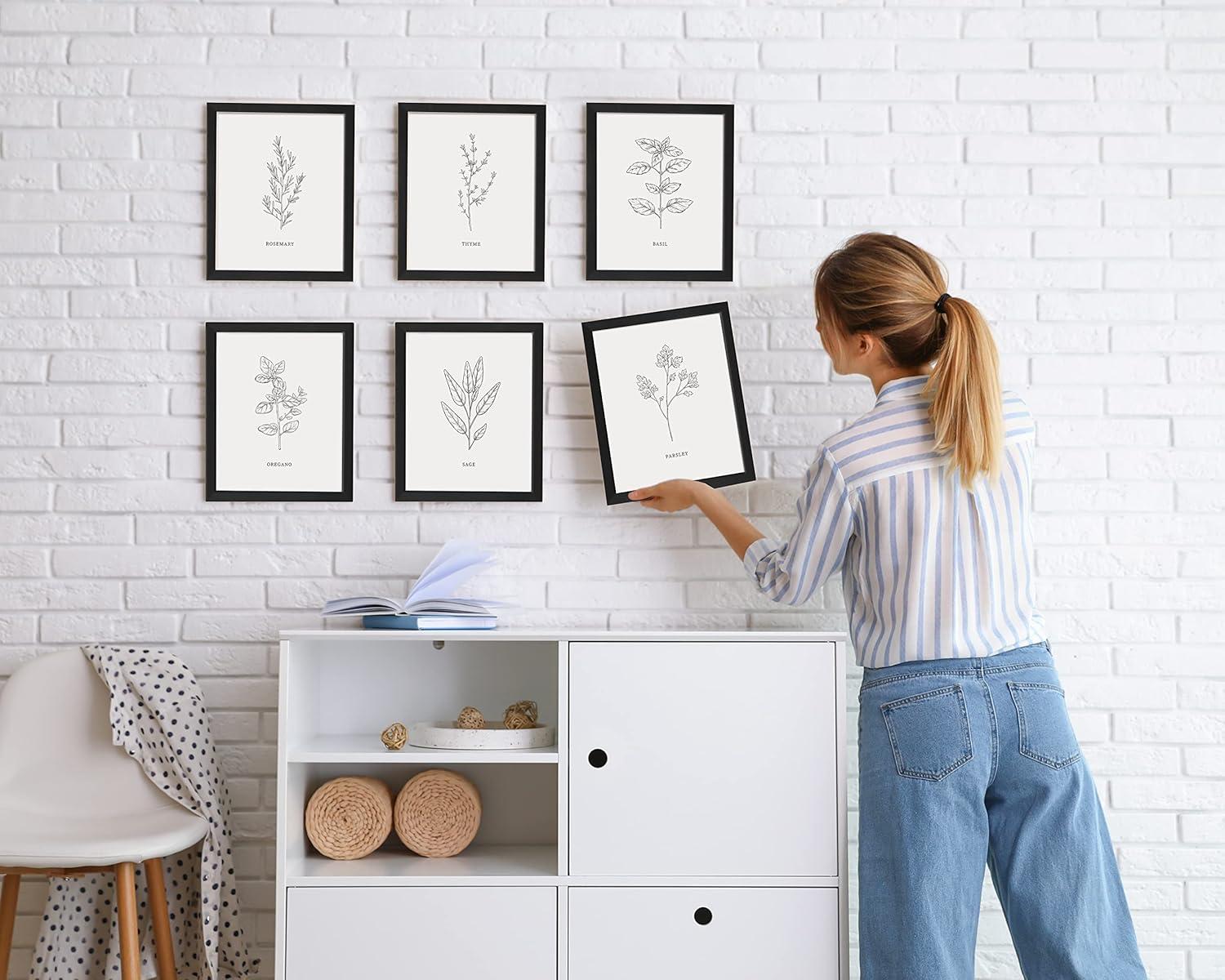 imageHAUS AND HUES Floral ampamp Plant Posters  Set of 6 Botanical Prints Flower ampamp Plant Wall Art Botanical Decor Unframed 16x20Black  White Herbs