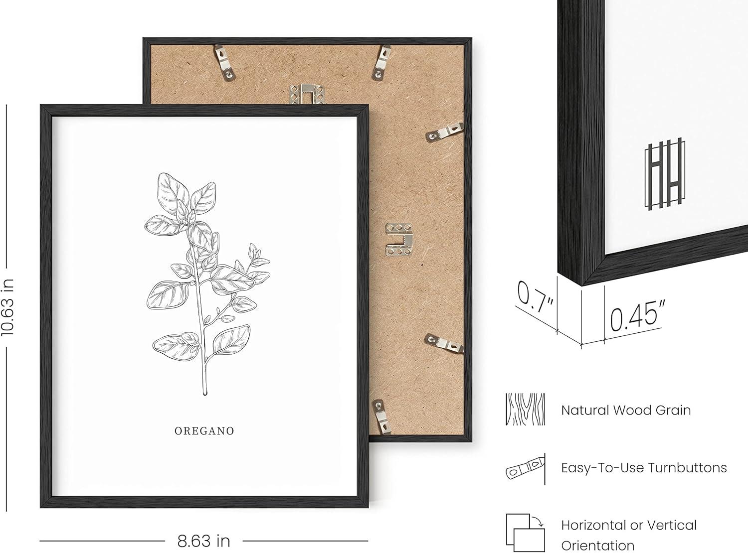 imageHAUS AND HUES Floral ampamp Plant Posters  Set of 6 Botanical Prints Flower ampamp Plant Wall Art Botanical Decor Unframed 16x20Black  White Herbs