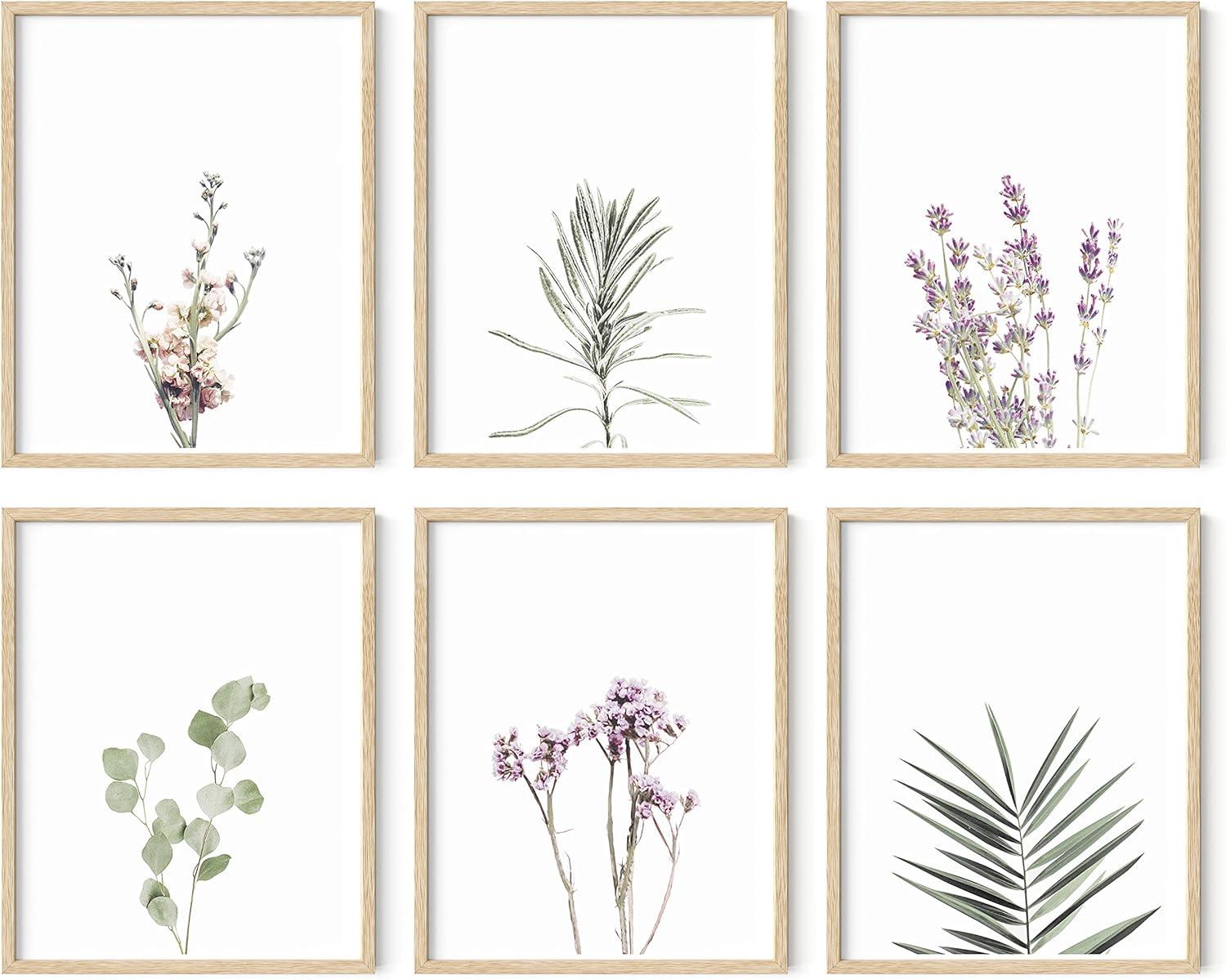 imageHAUS AND HUES Floral ampamp Plant Posters  Set of 6 Botanical Prints Flower ampamp Plant Wall Art Botanical Decor Unframed 16x20Lavender