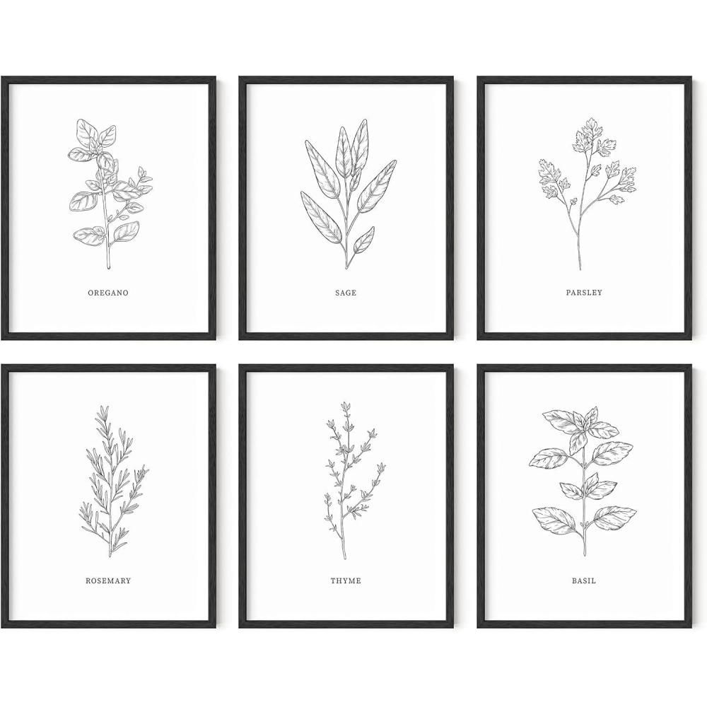 imageHAUS AND HUES Floral ampamp Plant Posters  Set of 6 Botanical Prints Flower ampamp Plant Wall Art Botanical Decor Unframed 16x20Black  White Herbs