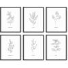 imageHAUS AND HUES Floral ampamp Plant Posters  Set of 6 Botanical Prints Flower ampamp Plant Wall Art Botanical Decor Unframed 16x20Black  White Herbs