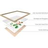 imageHAUS AND HUES Leaf Prints  Set of 6 Botanical Art Prints Eucalyptus Leaves Wall Decor Plant ampamp Botanical Wall Art Beige Frame 16x20Vintage Flowers Set