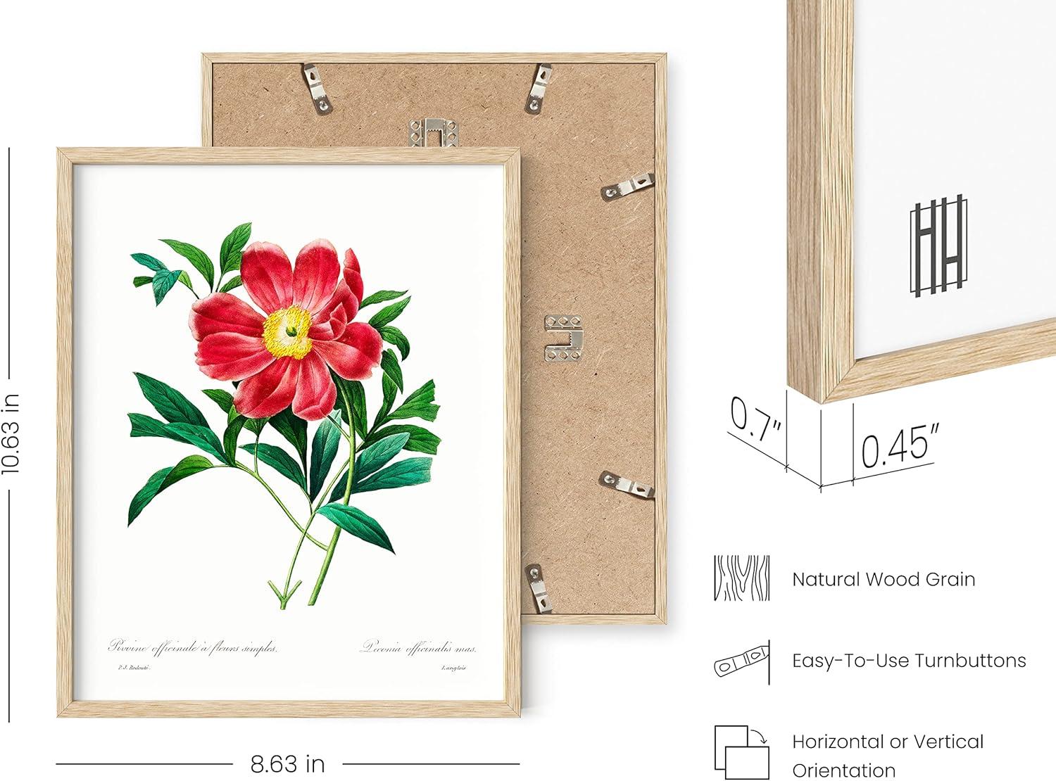 imageHAUS AND HUES Floral ampamp Plant Posters  Set of 6 Botanical Prints Flower ampamp Plant Wall Art Botanical Decor Beige Frame 8x10Vintage Flowers Set