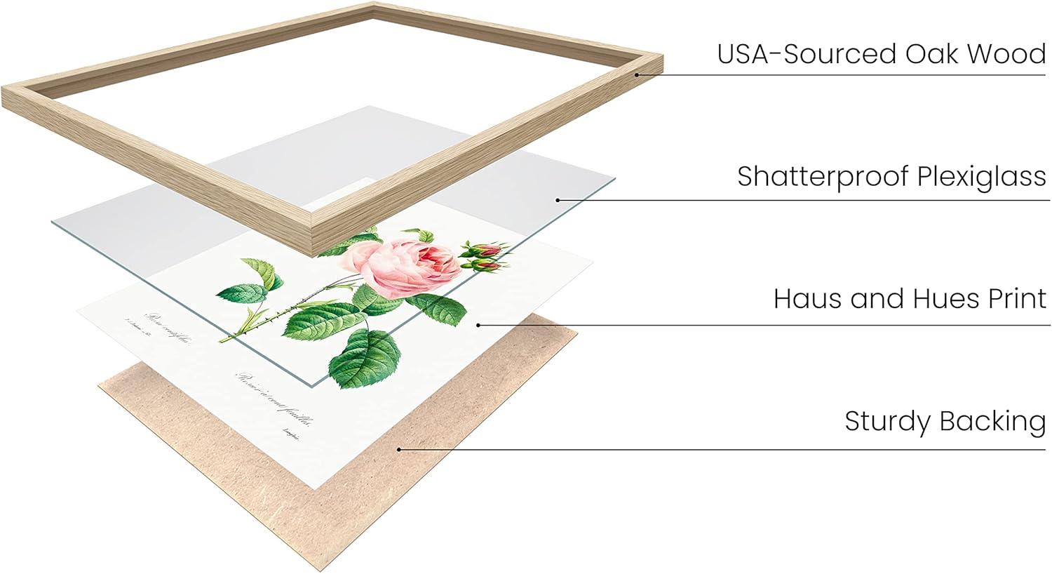 imageHAUS AND HUES Floral ampamp Plant Posters  Set of 6 Botanical Prints Flower ampamp Plant Wall Art Botanical Decor Beige Frame 8x10Vintage Flowers Set