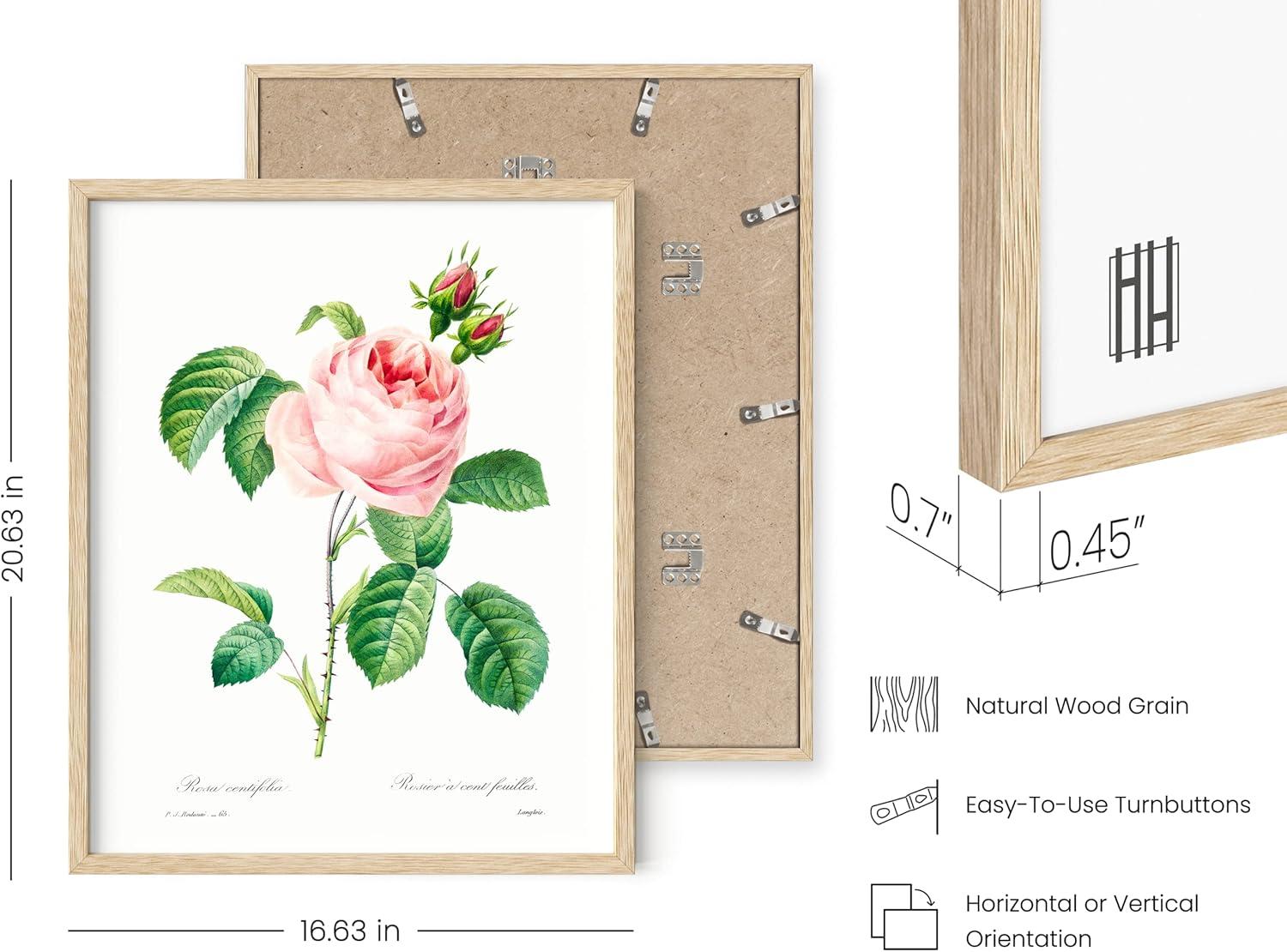 imageHAUS AND HUES Floral ampamp Plant Posters  Set of 6 Botanical Prints Flower ampamp Plant Wall Art Botanical Decor Beige Frame 8x10Vintage Flowers Set