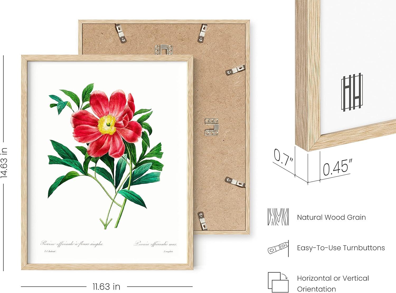 imageHAUS AND HUES Floral ampamp Plant Posters  Set of 6 Botanical Prints Flower ampamp Plant Wall Art Botanical Decor Beige Frame 8x10Vintage Flowers Set