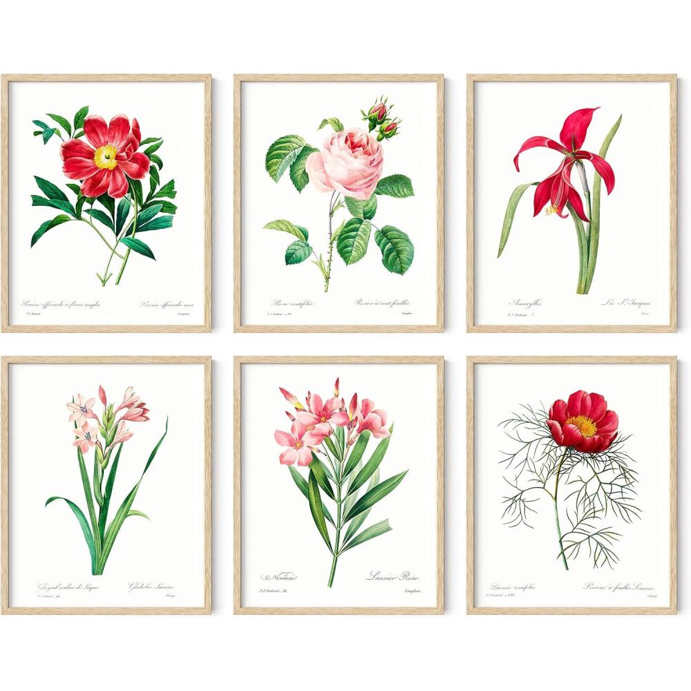imageHAUS AND HUES Floral ampamp Plant Posters  Set of 6 Botanical Prints Flower ampamp Plant Wall Art Botanical Decor Beige Frame 8x10Vintage Flowers Set