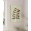 imageHAUS AND HUES Danish Pastel Aesthetic Matisse Poster  Danish Pastel Room Decor Aesthetic Matisse Print ampamp Sage Green Wall Decor Matisse Cutouts Modern Wall Art Abstract Art 16quot x 20quot Framed BeigeGreen Sunglasses