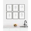 imageHAUS AND HUES Floral ampamp Plant Posters  Set of 6 Botanical Prints Flower ampamp Plant Wall Art Botanical Decor Beige Frame 8x10Black  White Herbs